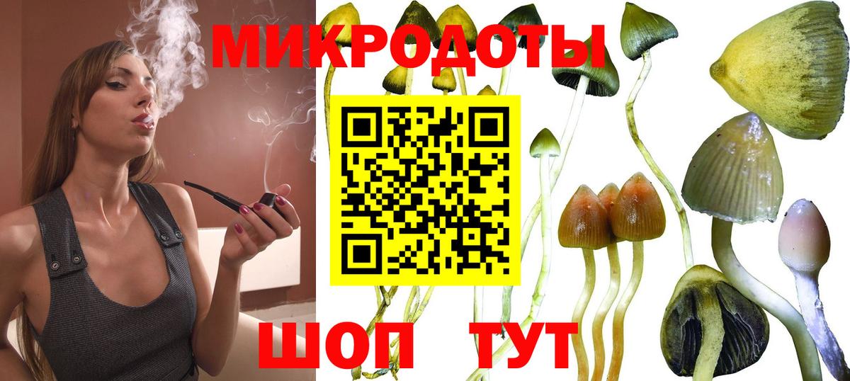 Шали  Псилоцибиновые грибы Cubensis  Вход с VPN 
